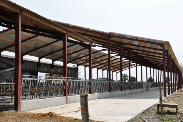Construction de stabulation vache en Mayenne
